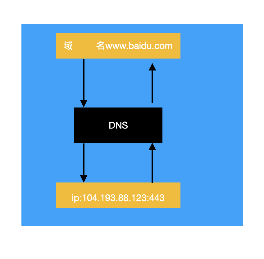 dns